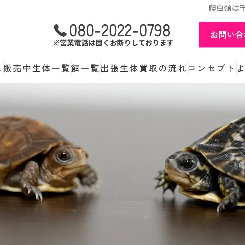 🔥🔥ご報告🔥🔥